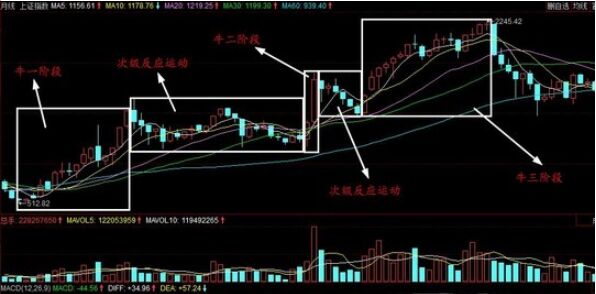 次級反應(yīng)運(yùn)動形成的原因