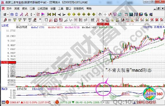 不肯去觀音形態(tài).jpg