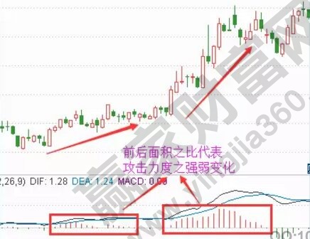 面積之比.jpg